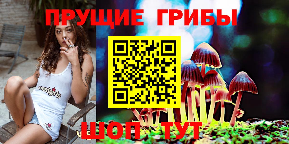 Киселёвск  Псилоцибиновые грибы MAGIC MUSHROOMS  цены   Вход с VPN 